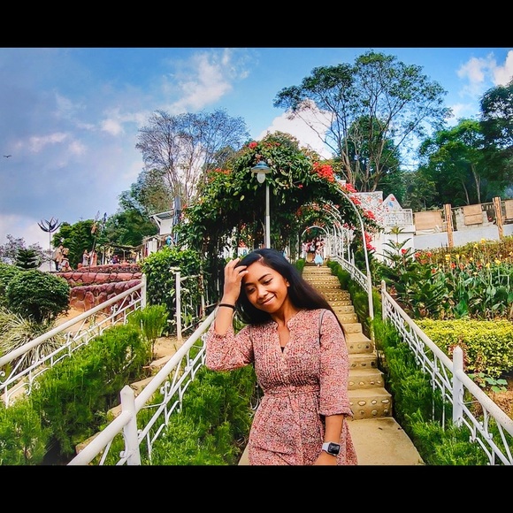 Meet your Posher, Perry - Picture 2 of 3